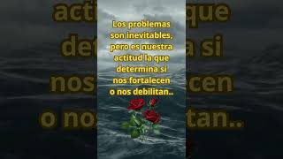 Los problemas de la VidaComo hacer para vivir mejormotiventafrasesconsejosmotivaciónreflexión [upl. by Cirdla]