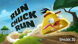 Run Chuck Run  Angry Birds Toons  Ep 20 S 1 [upl. by Norry]