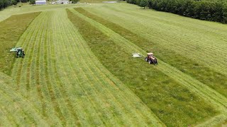 First cut hay with an Allis Chalmers 8030 with high diesel prices [upl. by Millda]