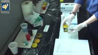 Urinalysis Demonstration [upl. by Aihsekram984]