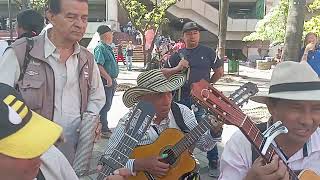 CON LA PINGA PARA LOS AUTENTICOS DEL RITMO [upl. by Korwin]