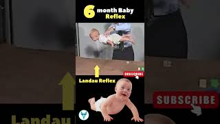 6 Month Baby Normal Reflex Check  Landau Reflex  Baby growth pregnancy [upl. by Emolas]