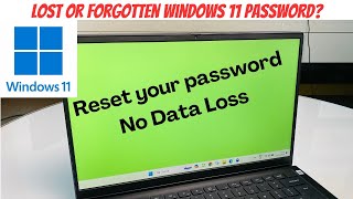 Reset Lost Forgot Windows 11 Password  Access computer again [upl. by Seymour473]