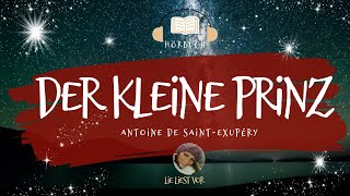 Der kleine Prinz komplettes Hörbuch zum Einschlafen und Träumen Antoine de SaintExupéry [upl. by Gish]