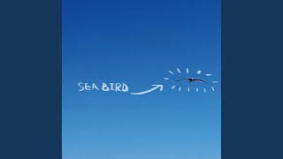 seabird [upl. by Pearlman]