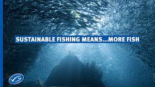 How can sustainable fishing mean more fish in the ocean [upl. by Filberte407]