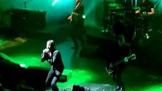 Suede  Metal Mickey  Live At Tivoli Vredenburg Utrecht 30012016 [upl. by Euqinamod614]