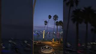 Catalina Island at night Beautiful [upl. by Hannon23]