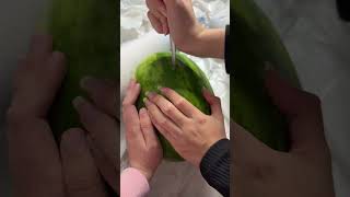 MELONE MIT OBERSCHENKEL ZERSTÖREN TUTORIAL [upl. by Florence485]