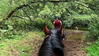 Come Ride With Us  Somerford Park Farm Ride  July 2022 [upl. by Muffin]