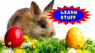 Learn Stuff Ep 2  Why Does Easter Always Change Dates [upl. by Enamart]