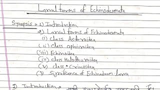 Larval forms of Echinodermata [upl. by Darnall]