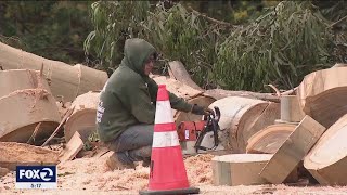 Saratoga neighbors fearful more massive trees could topple cause power outages [upl. by Nolla740]