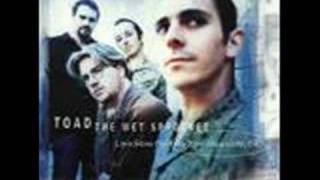 Toad The Wet Sprocket  One Little Girl [upl. by Ruelle]