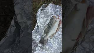 Bream catch and cook full video on channel catchandcook breamfishing cooking [upl. by Nerhe]