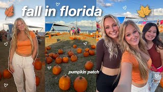 the perfect fall day fall in florida 🍂 [upl. by Ploss]