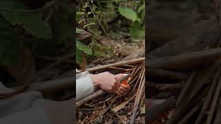 bushcraft build camp camping survival shelter wildlife skills lifehacks forest [upl. by Alarick596]