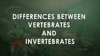 DIFFERENCES BETWEEN VERTIBRATES AND INVERTIBRATES [upl. by Ylatfen]