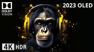 Oled Demo 2023 Dolby THX DLP Intros DOLBY ATMOS SOUND DESIGN 4K HDR 60FPS Dolby Vision [upl. by Severen315]