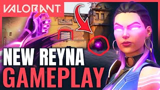 VALORANT  REYNA Full Gameplay  New Agent All Abilities amp Map Ascent [upl. by Ahsiekar]