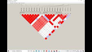 Demo of Haploview [upl. by Ancilin]