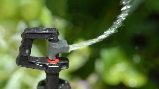 Antelco Rotor Spray™ Mini Sprinklers Micro Irrigation Installation [upl. by Son]