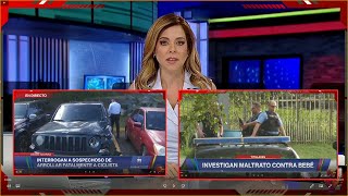 Las Noticias Puerto Rico hoy Por Teleonce  12PM  Lunes 30 de Septiembre de 2024 [upl. by Alaehs]