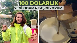 Arjantindeki YENİ EVİME taşınıyorum vlog arjantin [upl. by Kirsti138]