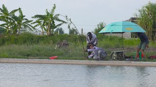 46 Hồ câu Khánh Nhạc  Ninh Bình  Test bộ hương liệu mới  Hắc Ngư  Bạch Ngư  4K [upl. by Kellie]