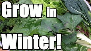 8 Keys to Growing in Winter in an Unheated Greenhouse Hoop House [upl. by Adrea433]