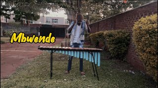 Jah Prayzah Mbwende Marimba cover 365days of Marimba Day 310 [upl. by Petrina]