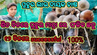 ‌ଶିତ ଦିନରେ ପ୍ରଚୁର ମାତ୍ରା ରେ ଫଳେ ଛତୁ 🍄🍄 ୧୨ ଦିନରେ successful 💯  Riser Emperor Vlog ll [upl. by Shore]