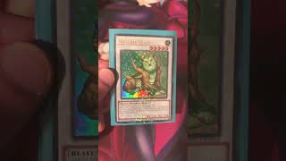 Naturia Beast yugioh yugiohtcg naturia beast [upl. by Eimile]