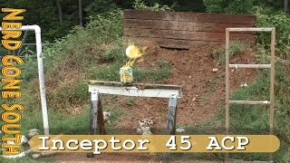 Inceptor ARX 45 ACP Ammunition Test [upl. by Qirat327]