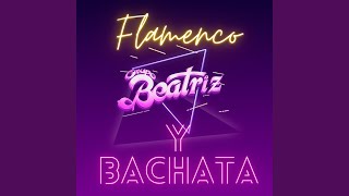 Flamenco y Bachata [upl. by Ellerad]