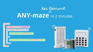 ANYmaze for Operant in 2 minutes [upl. by Yusem]