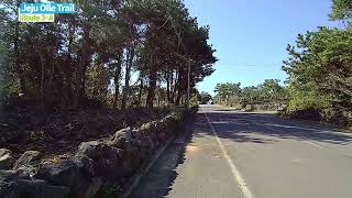 Jeju Olle Trail Route 3A Onpyeong  Pyoseon Olle [upl. by Nawiat]