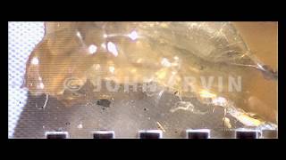 HD Slow Motion  Winchester PDX1 Defender 12 Gauge Segmenting Slug [upl. by Ymmak]