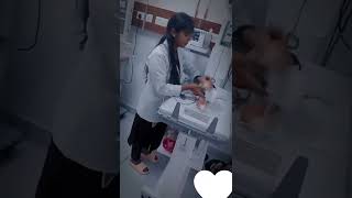 ICU nurse nursing shortvideo [upl. by Rebmat]