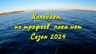 Холодает но ТРОФЕЕВ пока нетсезон 2024 [upl. by Christalle792]