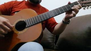 LA TORTUGA MANUELITA guitarra instrumental Luis Aguilé [upl. by Haerb]