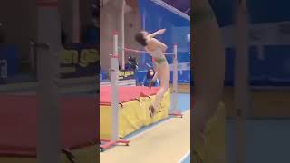 Defying Limits Olympic Gymnastics Moves That Inspireshorts [upl. by Farika518]