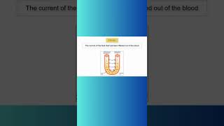 LOOP OF HENLE kidney loopofhenle water reabsorption nephron anatomyandphysiology [upl. by Gottfried]