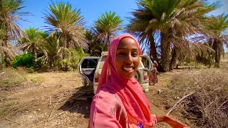 BIXIN DUULE SOMALILAND 2021A HIDDEN PALM TREE OASIS [upl. by Apur75]