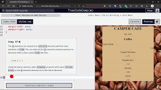 Learn Basic CSS by Building a Cafe Menu  Step  37 [upl. by Freytag112]