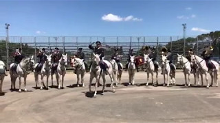 Fanfara a cavallo della Polizia di Stato [upl. by Ikim695]