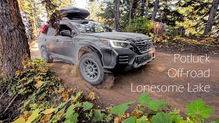 Offroading in Subaru Outback Wilderness Lonesome Lake Potluck with Rugged Roo Crew [upl. by Akerley]