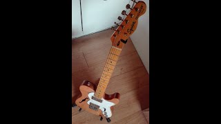 Thinline telecaster with wide range humbuckers is good for jazz [upl. by Ecnerwaled]