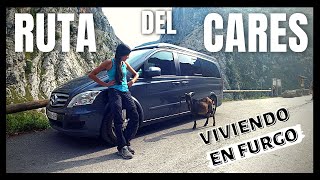 🗻 Como hacer la RUTA del CARES con PERROS  VIVIR y VIAJAR en FURGONETA CAMPERIZADA  Vlog 07 [upl. by Adlih]