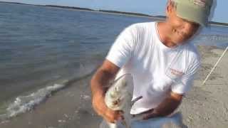 Jiggin Jerry Surf Fishing off of Edisto Beach SC [upl. by Bovill]